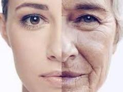 Названы гормоны, замедляющие процессы старения