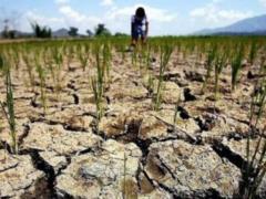 Мировые запасы продуктов пострадали от засухи, наводнений и морозов. Назревает худшая за 10 лет ситуация