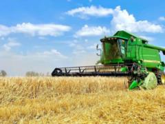 Харьковские аграрии собрали почти 3,5 млн тонн зерна и зернобобовых