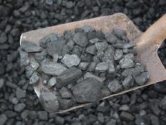 Минэнерго обнаружило недостачу 17,5 тысяч тонн угля на складах «Львовугля»