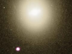 Астрономы застали черную дыру средней массы за «пожиранием» звезды