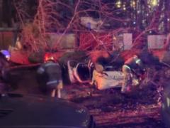 В Киеве из-за сильного ветра дерево упало на автомобиль с людьми
