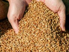 Россия блокирует в украинских портах рекордный груз зерновых для Европы
