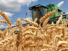 В Украине может застрять до 60 млн тонн зерна, считает Зеленский