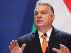  Меньше дрэг-квин, больше Чака Нориса : Орбан назвал идиотами тех, кто считает его расистом