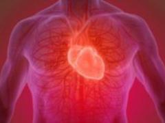 Здорове серце: природні продукти для профілактики закупорки артерій