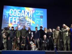 Не одним Патроном: как собаки становятся героями Украины