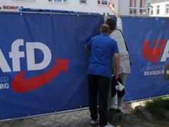 Партию Альтернатива для Германии объявили экстремистской