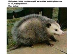 Анекдоты и мемы недели: К раздаче шуток - стройся! Раз-два!