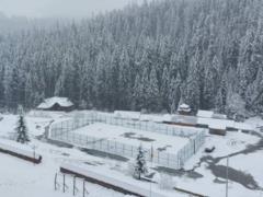На Буковине и Прикарпатье в горах выпал снег