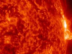 На Солнце после длительного перерыва произошла мощная вспышка: зрелищные кадры