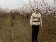 Херсонские фермеры на линии огня: В небе - дроны, на земле - «лепестки», но черешню вырастим