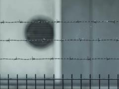 Консулы встретились с 16-летним украинцем, подозреваемым в убийстве матери и сестры в Бельгии
