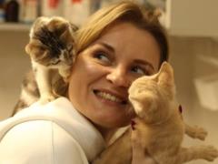 «Котохрам» в Черкассах: за 17 лет черкащанка спасла более двух тысяч пушистых беспризорников