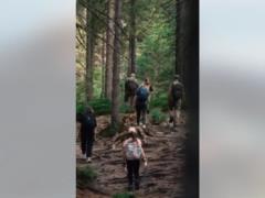 Ветераны на протезах сошли на Говерлу