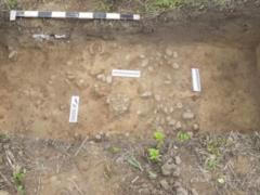 В Ивано-Франковской области обнаружили следы дороги XII-XIII веков