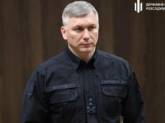 Миллиардные убытки: ГБР расследует до 600 дел в сфере лесного хозяйства