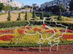 Ко Дню Независимости в Киеве высадили оригинальные клумбы