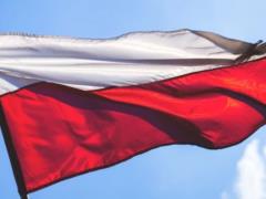 Польша показала новый дрон Kaczka в форме лебедя