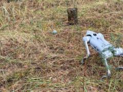 Роботизированный пес нашел кассетный боеприпас в Киевской области