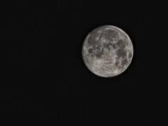 NASA планирует создать постоянное поселение на Луне к 2035 году: Мы остаемся