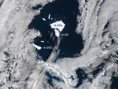 Самый большой айсберг в мире умирает: NASA показало фото