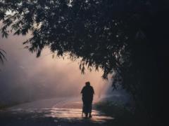 Киевщину накрыл сильный туман, объявлен желтый уровень опасности