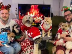 «Незламний гуртожиток»: история семьи, которая спасает “особенных” животных