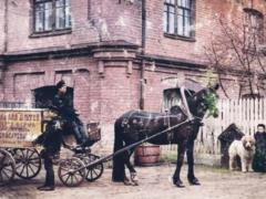 Домашние животные старого Киева: собак освящали в храмах, а голубей отвозили за город