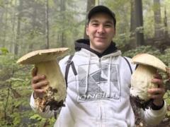 Грибник из Львовской области продал двухкилограммовый гриб на аукционе, а деньги задонатил ВСУ