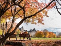 В выходные в Украине будет до +17 градусов тепла