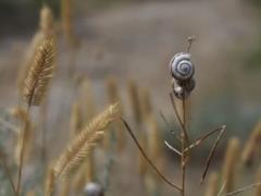 2024 год стал самым теплым за последние 125 тысяч лет, - ученые