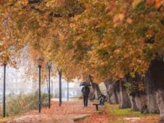 В пятницу в Украине будет до +14 градусов, но утром – туман