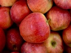 Сочные и полезные: почему важно есть яблоки и как их правильно хранить