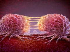  Молчание — это не защита, это ловушка : онколог Preventive Hub Анна Комиссаренко о мужском здоровье