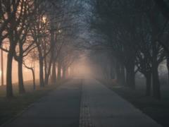 Жителей западной Украины предупредили о сильном тумане и объявили первый уровень опасности