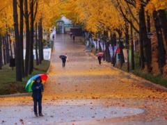 Погода на выходные в Украине будет контрастной, но идет серьезное похолодание