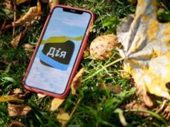 Зимняя поддержка: Дія предупредила о возможных сбоях