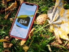 Итоги 15.11: Зимняя поддержка и возобновление обмена