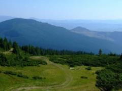 Впервые частный участок в Карпатах был передан в государственную собственность