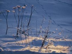 Жителей западной Украины предупредили о непогоде и объявили штормовое предупреждение