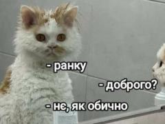 Анекдоты и мемы недели: В Украине введен шапочный режим – потому что темно и холодно