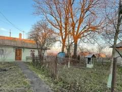 «Спускаемся на землю»: почему украинцы массово переселяются из городов в села