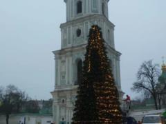 В центре Киева установили и почти украсили главную елку Украины