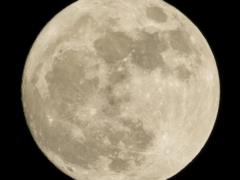 В декабре можно будет увидеть последнюю Суперлуну 2025 года