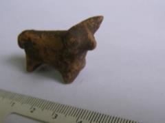 На Прикарпатье археологи нашли бычка, которому около 6 тысяч лет