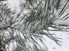 В Украину идет похолодание до 7 градусов мороза - прогноз погоды на 11 декабря