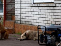 Генераторы, зарядные станции, газовые горелки: почему они взрываются и как этого избежать