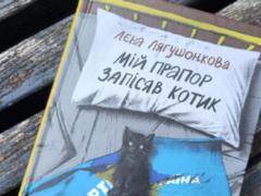 Роман  Мой флаг записал котик  Лены Лягушенковой получил премию  Книга года BBC - 2025 