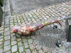 В Копенгагене неизвестные разрушили работы украинской художницы Марии Куликовской